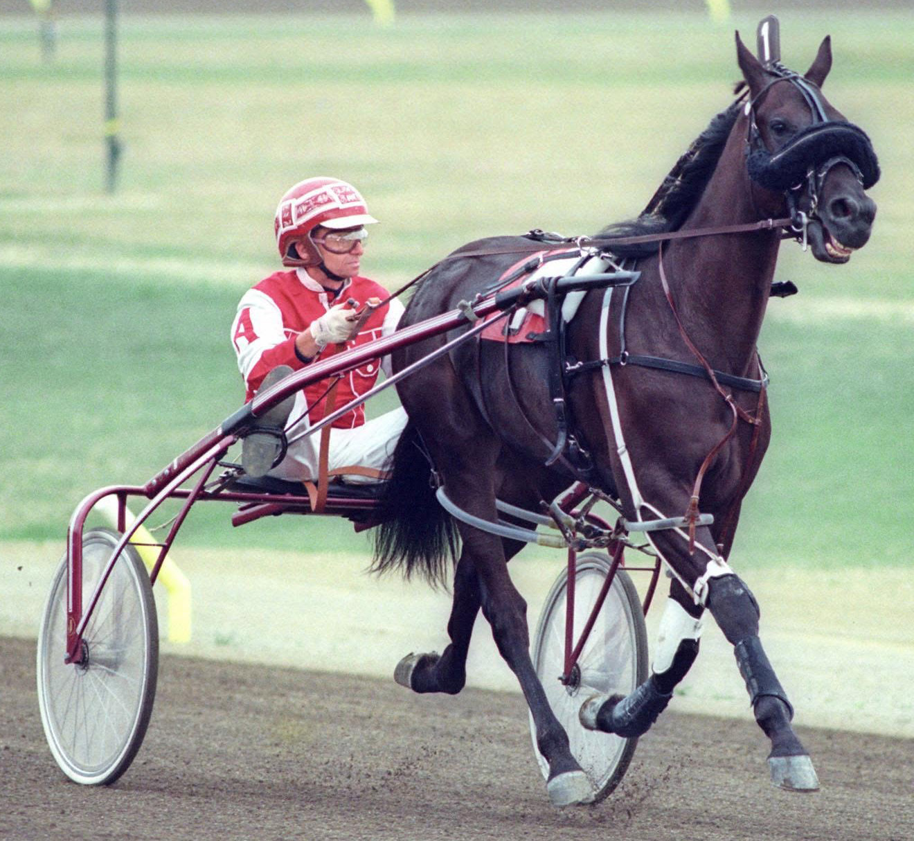 Image of MAJESTIC OSBORNE