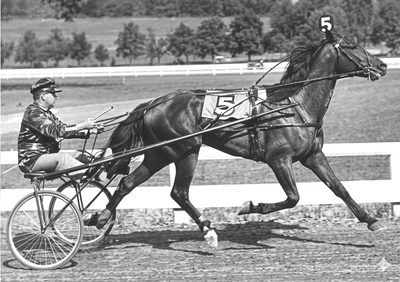 Image of DEMON HANOVER