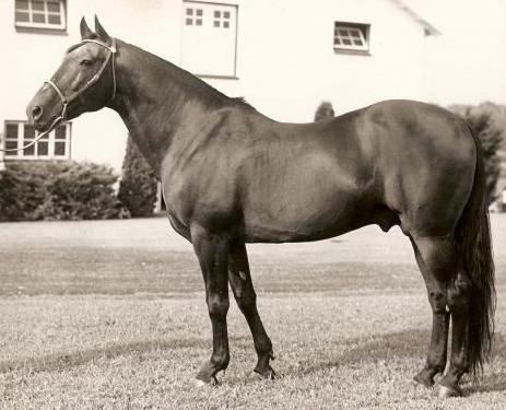 Image of GENE ABBE