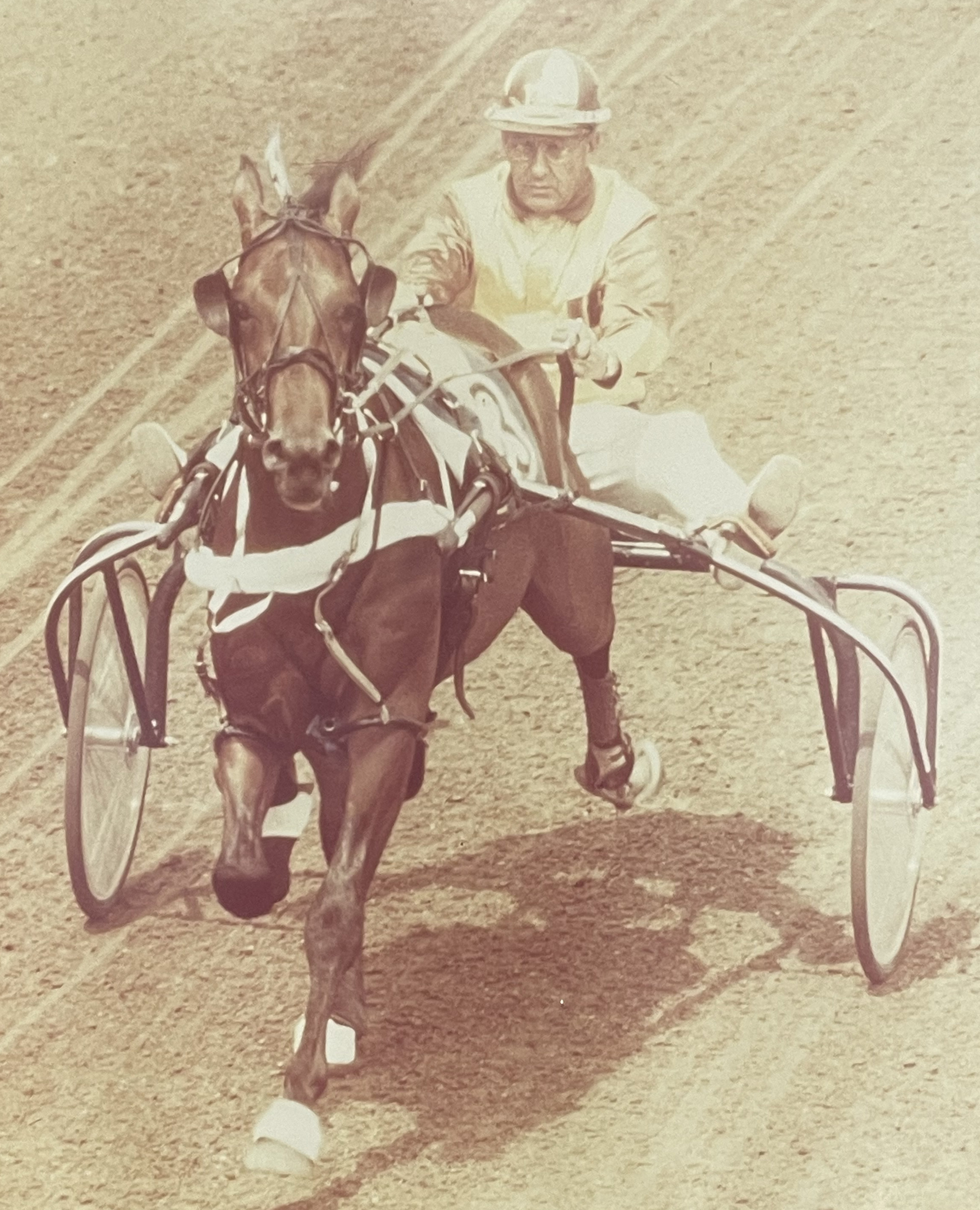 Image of SPEED IN ACTION