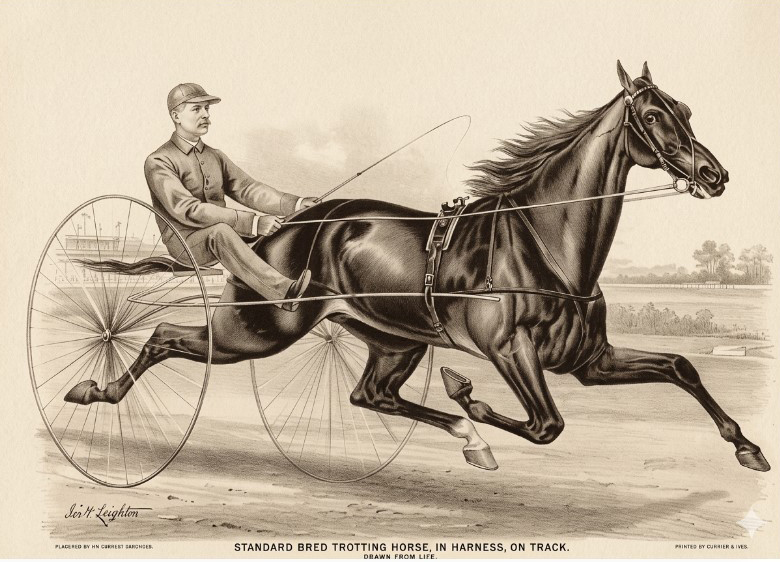 Image of LITTLE BROWN JUG