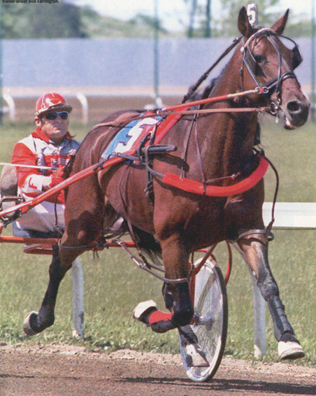 Image of RAMBLING WILLIE